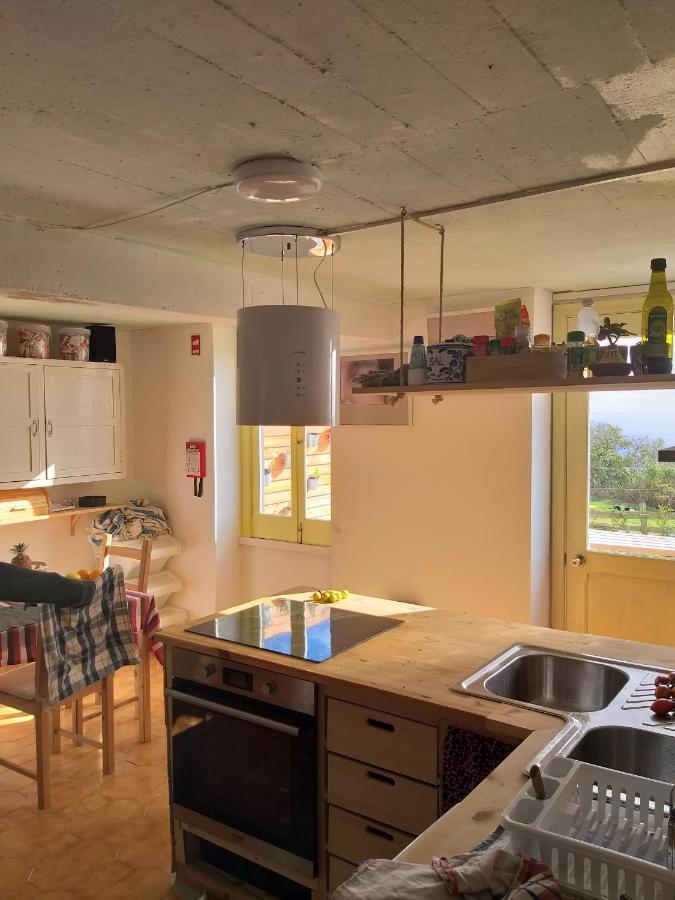 波瓦桑 Casa Da Lomba Do Cavaleiro酒店 外观 照片